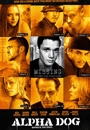 ALPHA - Alpha Dog