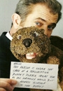 BEAVR - The Beaver