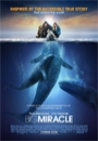 BMRCL - Big Miracle