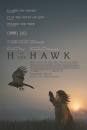 HFHWK - H Is For Hawk