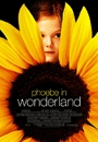 PHEBE - Phoebe in Wonderland