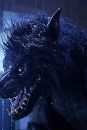 WEREW - Werewolves