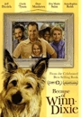 WINDX - Because of Winn-Dixie